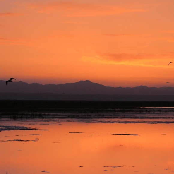 青海湖仙女湾日出
