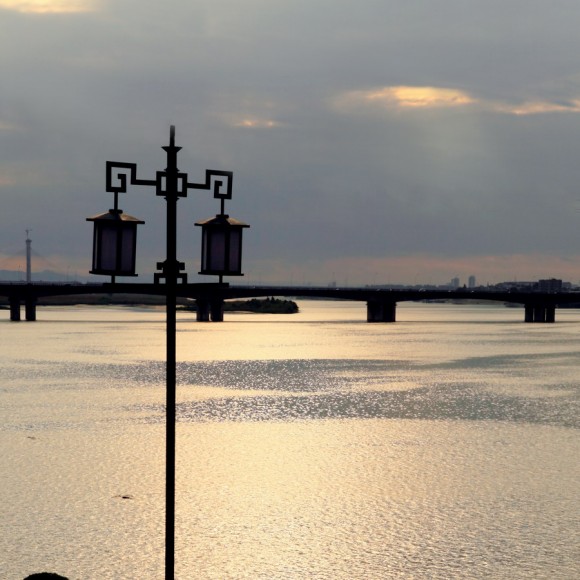 周日襄阳行  新人首次发贴