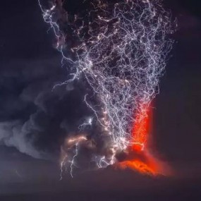 24张世界顶级摄影美图，国家地理摄影大赛佳作鉴赏