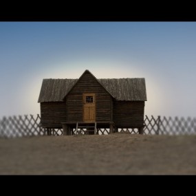 鸟 蒙古马 草原