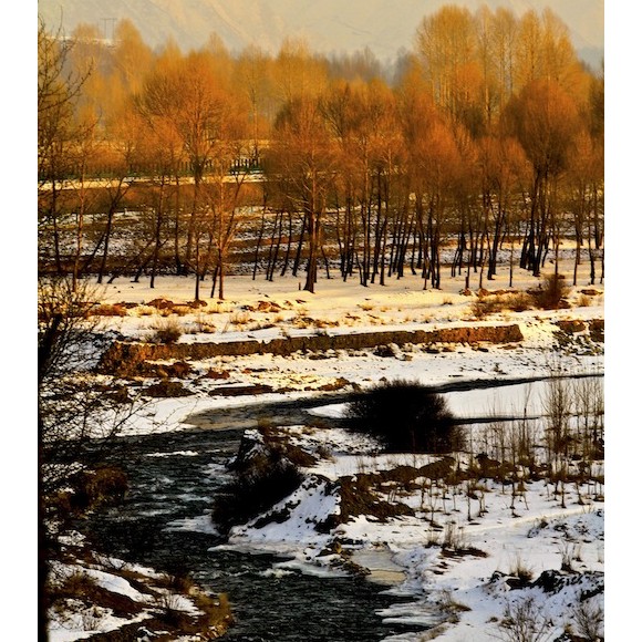 雪韵祁连（十五）傲岸记忆