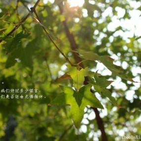 匆匆那年。----你和我曾经拥有的....