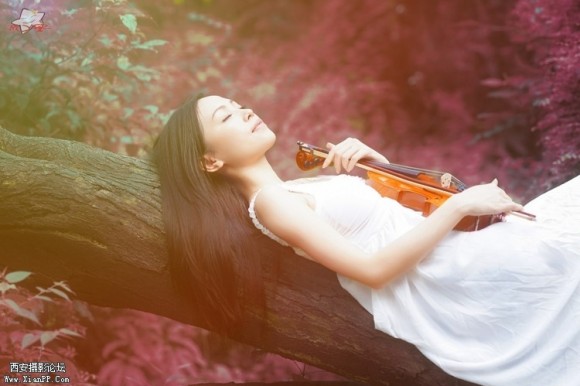 《生命的阳光》