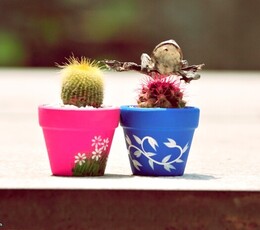 今天你被"yu"了么~~