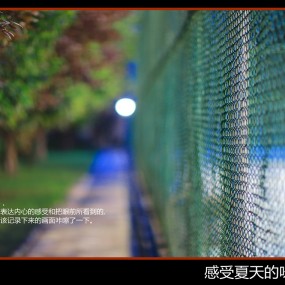 感受夏天的味道