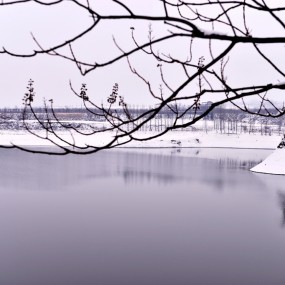 银装素裹美杨庄