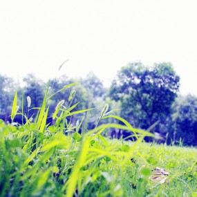 镜子乱拍&原创趣图~