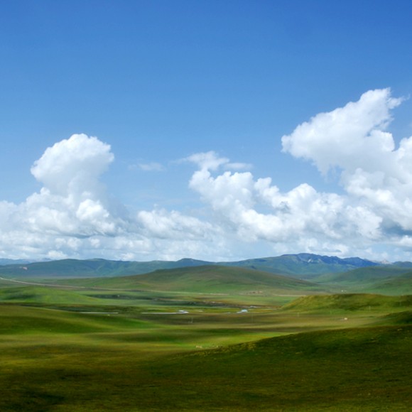 美丽的甘南——车在路上走    人在画中游