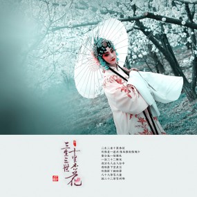 三生三世十里杏花