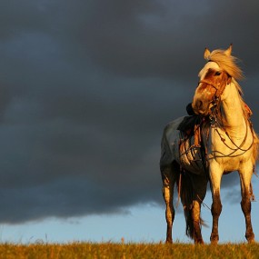 2011新疆金秋喀纳斯禾木可可托海胡杨林摄影采风火热招募中......