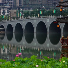 拍不完的荷花-6.22 南湖