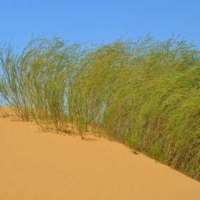 “沙漠之城”—靖边曾经留下的光影