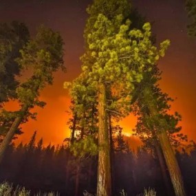 亦惊叹亦恐惧！长曝光拍摄的震撼森林大火照片