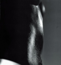 胴体引发的暇想