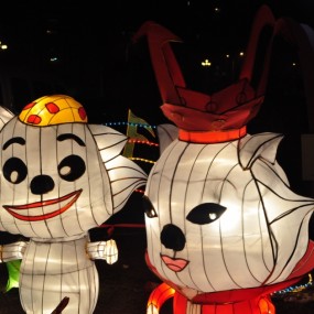 第一次尝试拍花灯。