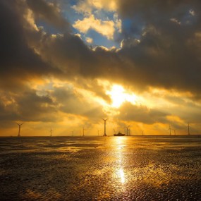 台风过后的滩涂