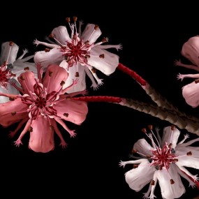 谁说拍人体是色情，谁还好意思说人体不美？