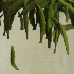 汉中好茶！但没拍好