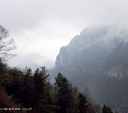 光雾四方—姜涛