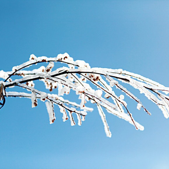 冰雪童话终南山