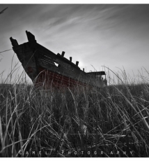 《六月·另一条河流》