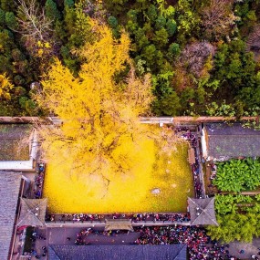 解密最近疯传的这组图