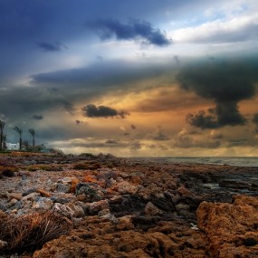 美轮美奂：Albena Markova精品赏析（六）