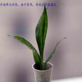 试试135L在弱光下的感觉