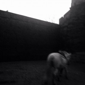 手机摄影  荆州古城