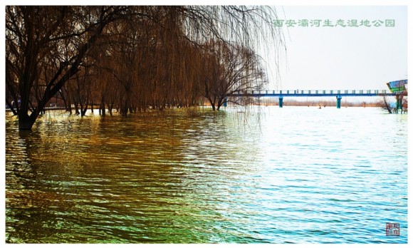 西安灞河生态湿地公园随拍