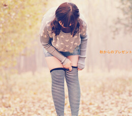 -绝对领域--秋からのプレゼント
