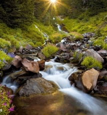 唯美风光 AESTHETICISM