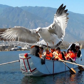 同事拍的照片，很漂亮。发帖