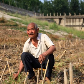 运河岸边老农民