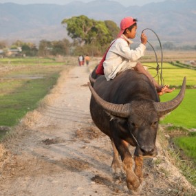 Sam Gellman摄影师在缅甸拍摄的风土人情系列作品