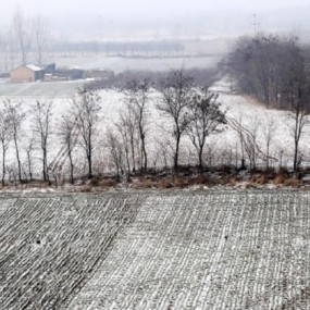 沙窝窝“银装素裹”