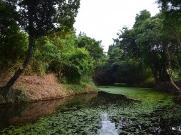 流过村间的小河