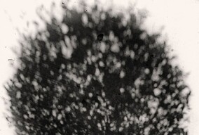 摄影师Sarolta Gyoker黑白影像