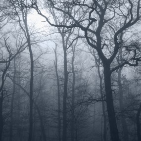 自然史 Juliette Bates