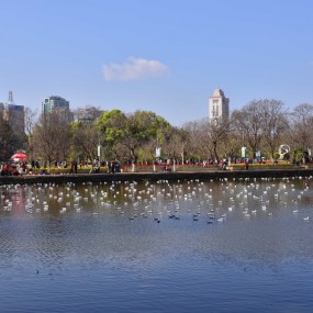 快乐云南元阳行摄之旅！