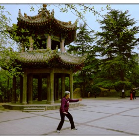 【随 拍】在 明 媚 的 春 光 里 （ 1 ）