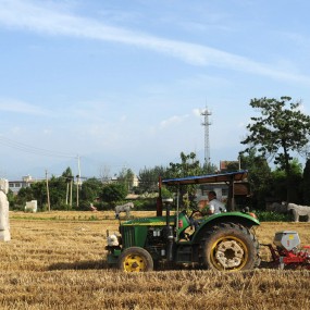 田野里的明代文物---大明康王陵