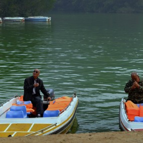 【鲸鱼沟翠园的竹林】