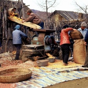 镜头下的东北农村（上）