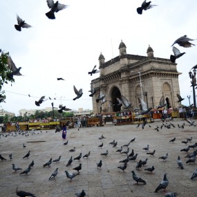 印度-马尔代夫-斯里兰卡15天穷游