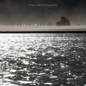 西藏林芝-丹娘沙丘