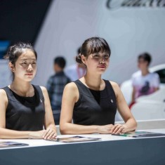 2014车展绿地展区