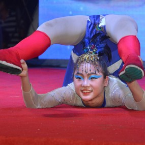 【杂技】美女柔术软功表演