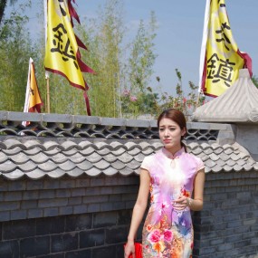 2015.08.22我在伏茶镇等你活动拍照