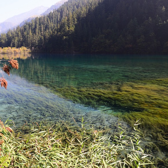 人间仙境九寨沟二